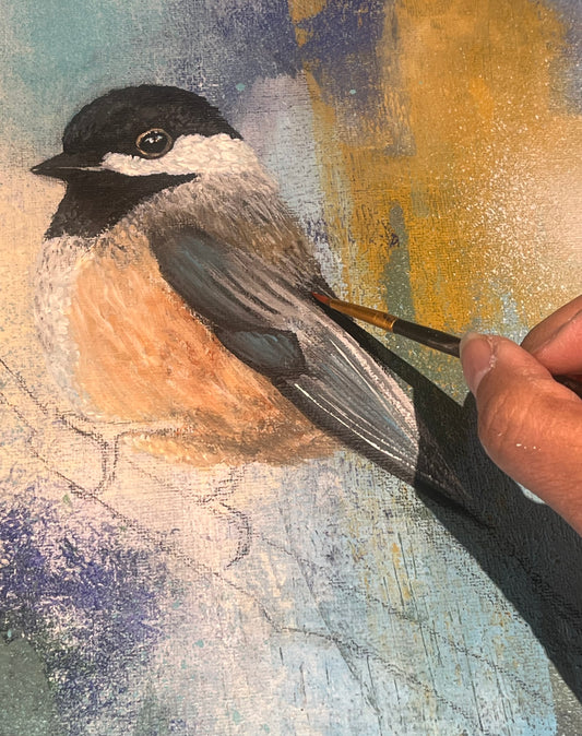 Following Wonder: Rest, Notice, Flight