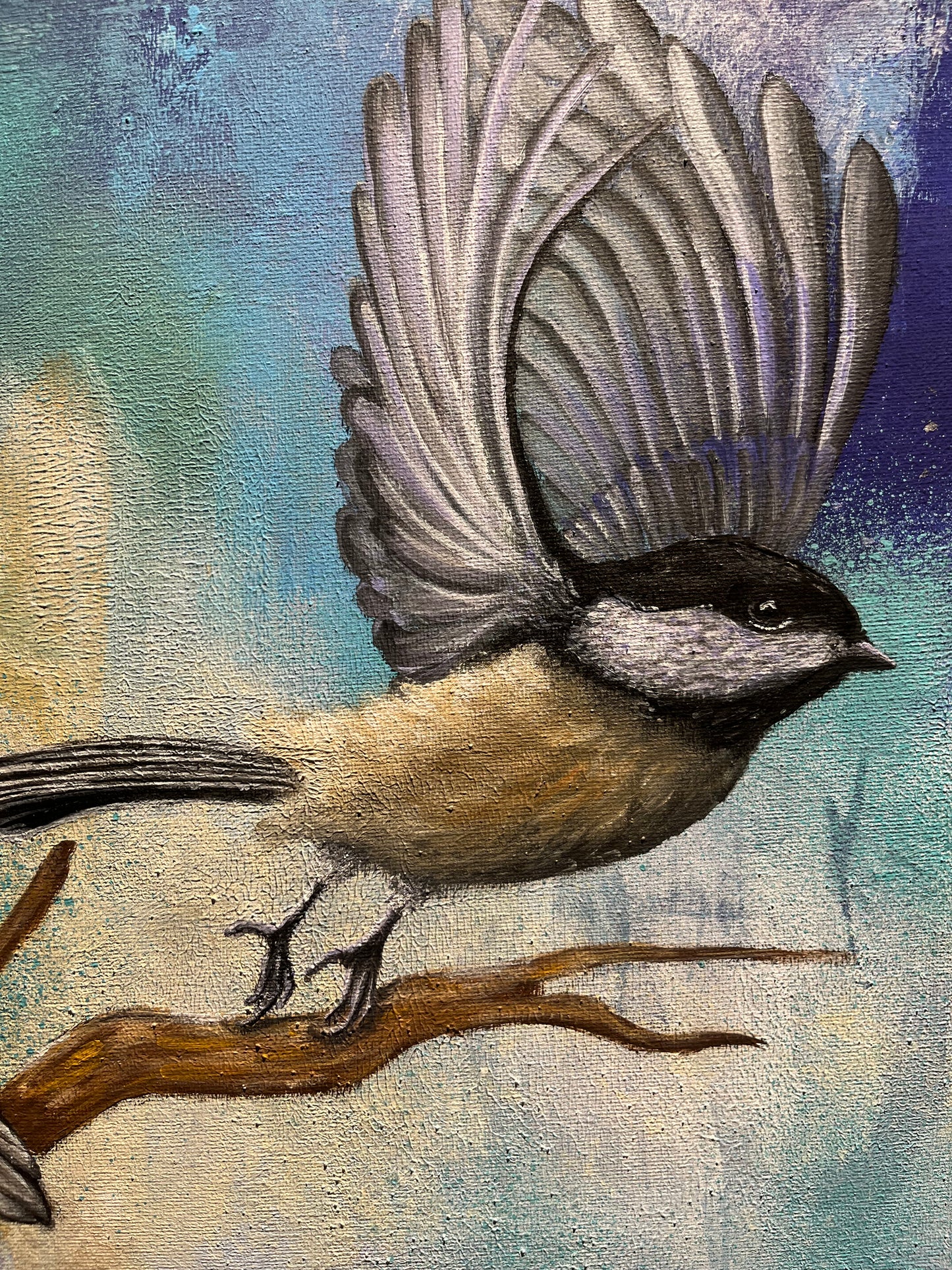 Following Wonder: Rest, Notice, Flight