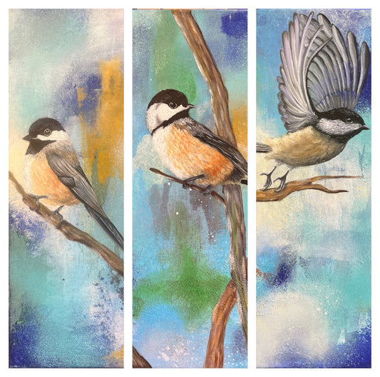 Following Wonder: Rest, Notice, Flight